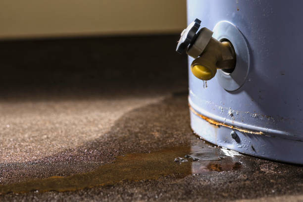 Best Water damage restoration near me  in Channahon, IL