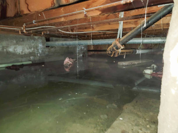 Best Residential water damage restoration  in Channahon, IL
