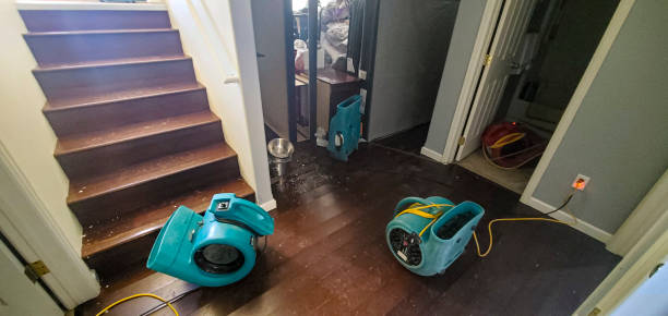 Best Flood restoration services  in Channahon, IL