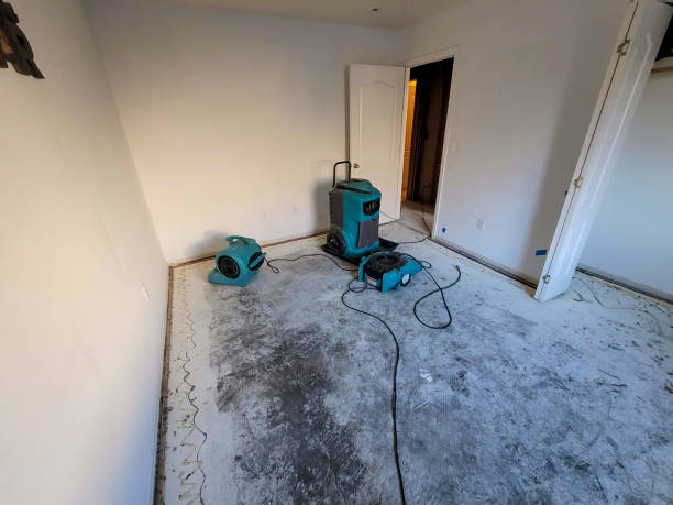 Best Fire Damage Restoration  in Channahon, IL