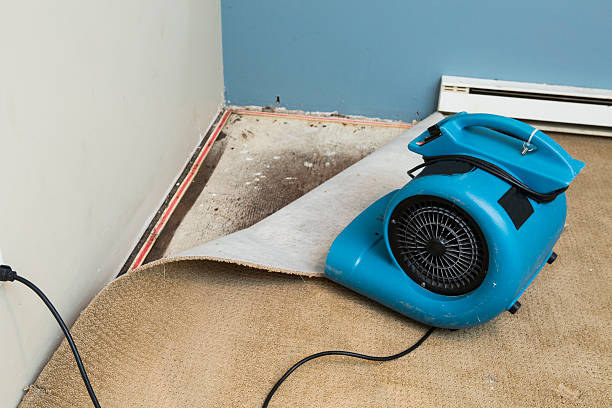 Best Water damage restoration mold remediation  in Channahon, IL
