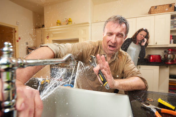 Best Mold removal after water damage  in Channahon, IL